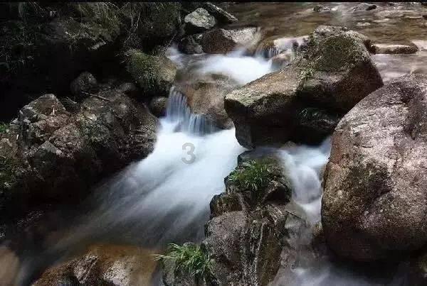 逃离废弃的卡车场